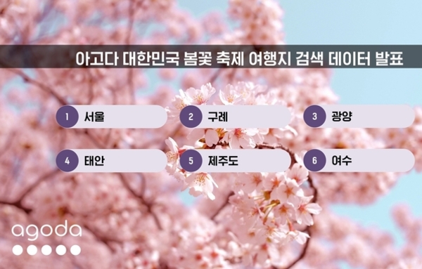 [요즘 뜨는 정보]봄꽃 축제 여행지 검색 데이터 발표...검색 증가율 1위는 '서울'