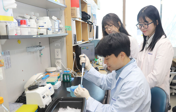 [이슈와 테마]"사람 장(腸) 닮은 세포 모델로 약물 유발 장벽 손상까지 정밀 진단"