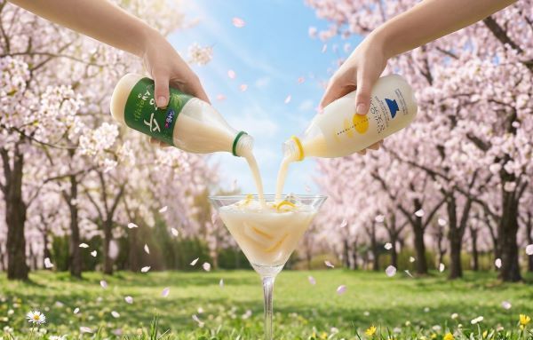 [요즘 뜨는 정보]봄꽃 필 무렵, 일상을 채우는 ‘이색 막걸리 칵테일’ 레시피