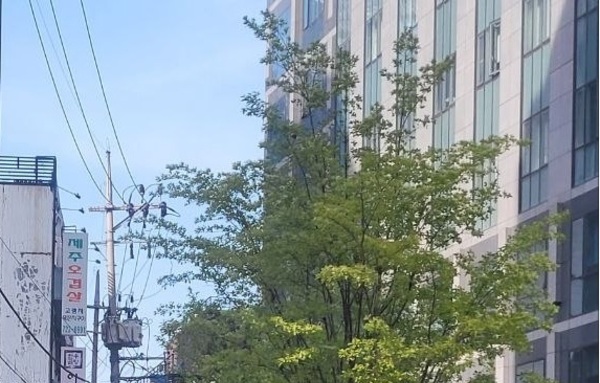 [이슈와 테마 직장인 35 “노동절 유급휴무 못 받는다”