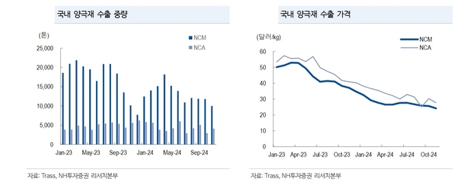 주민우 NH투자증권 연구원은 ″2차전지 산업에 대해 2025년 초까지 주가 반등 제한적일 것으로 보고 2025년 상단기 중 단기 반등을 예상한다″고 밝혔다. (사진=NH투자증권)′